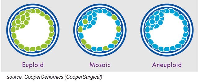 Diagram illustrating three types of embryo chromosomal compositions: Euploid, Mosaic, and Aneuploid, important for IVF discussions.